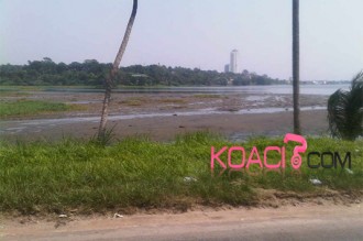 Côte d'Ivoire: Abidjan, une grande quantité de poissons morts découverte dans la lagune